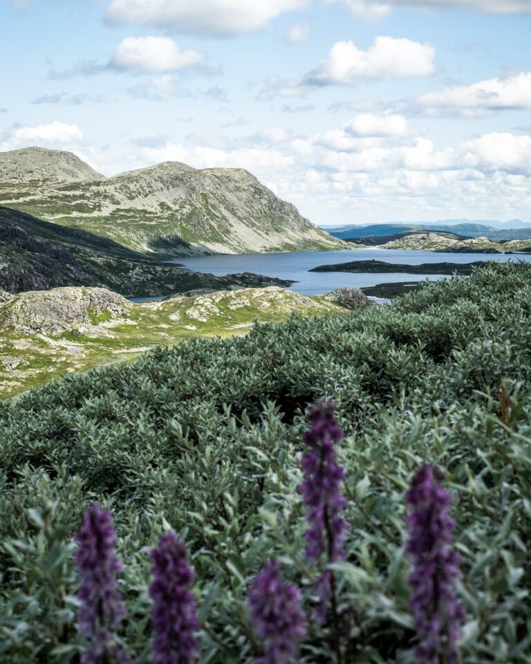 Instagram post from hikemyheartout. This post is in position 3.